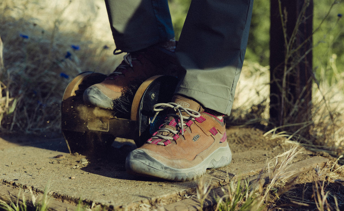 Women's Targhee IV Waterproof Hiking Shoe - Bison/Beaujolais