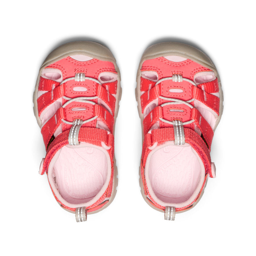 Toddlers' Seacamp II CNX - Dubarry/Giggle Pink