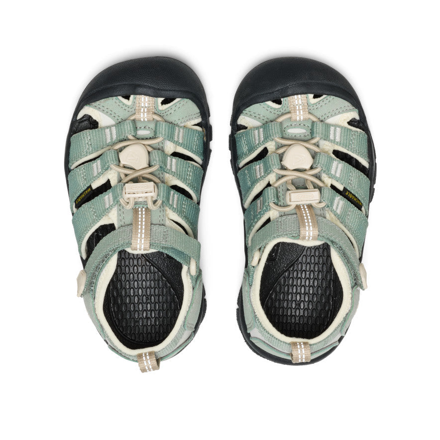 Little Kids' Newport H2 - Lily Pad/Black
