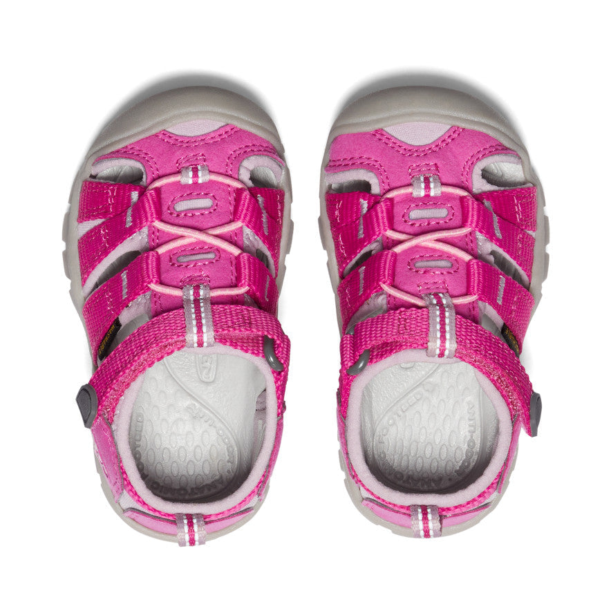 Toddlers' Seacamp II CNX - Very Berry/Dawn Pink