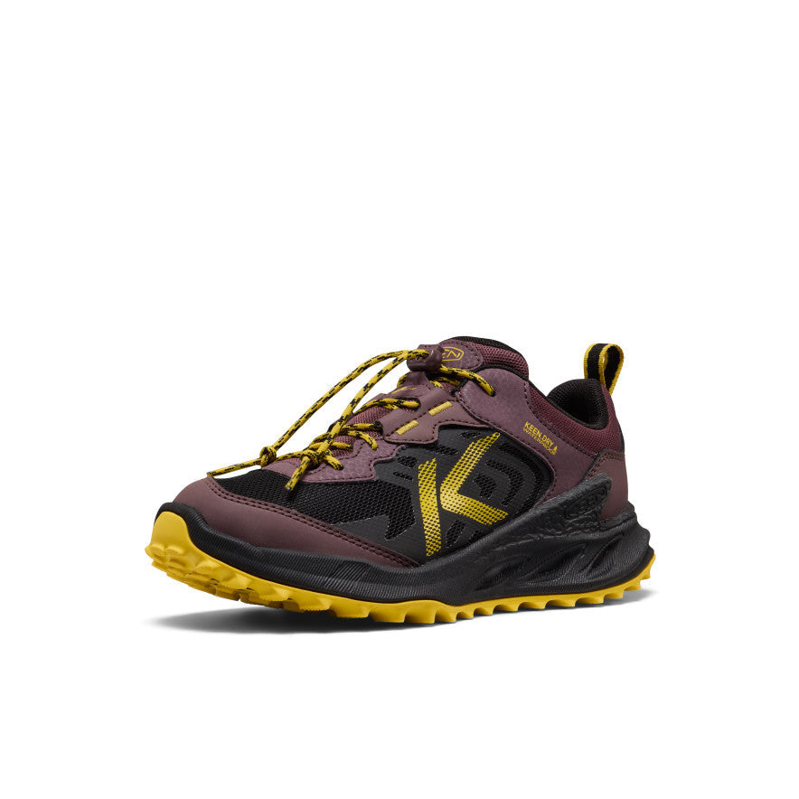 Big Kids' Zionic Waterproof Shoe - Huckleberry/Black
