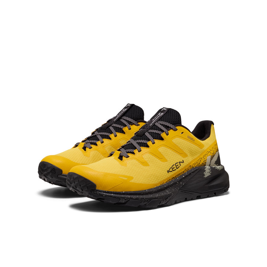 Men's Targhee Apex Waterproof Hiking Shoe - Symphonic Sunset/Black