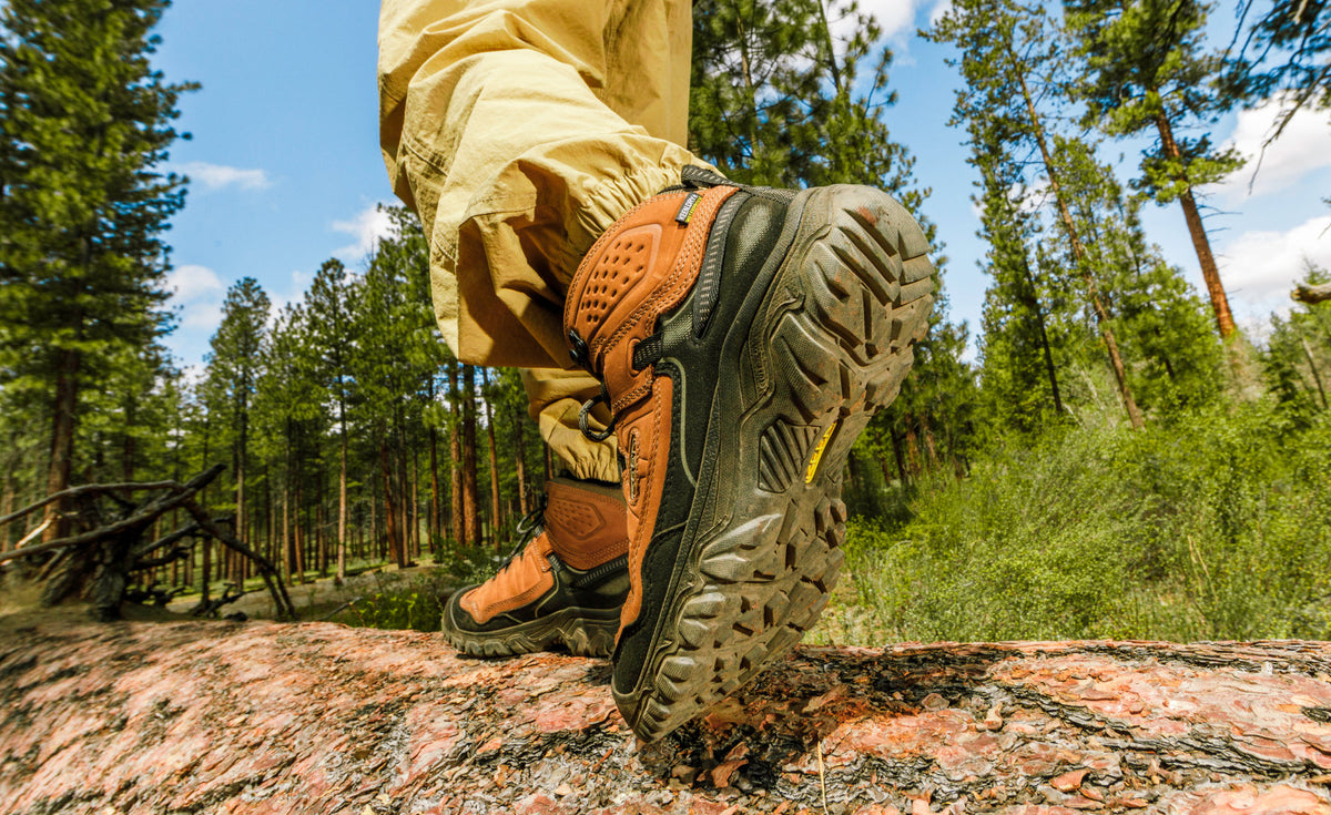 Men's Targhee IV Waterproof Hiking Boot - Bison/Black