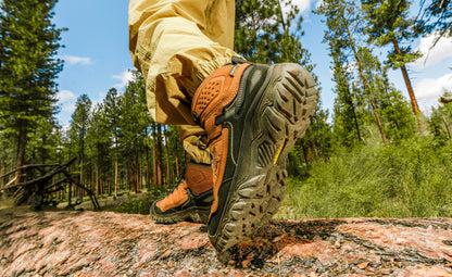 Men's Targhee IV Waterproof Hiking Boot - Bison/Black