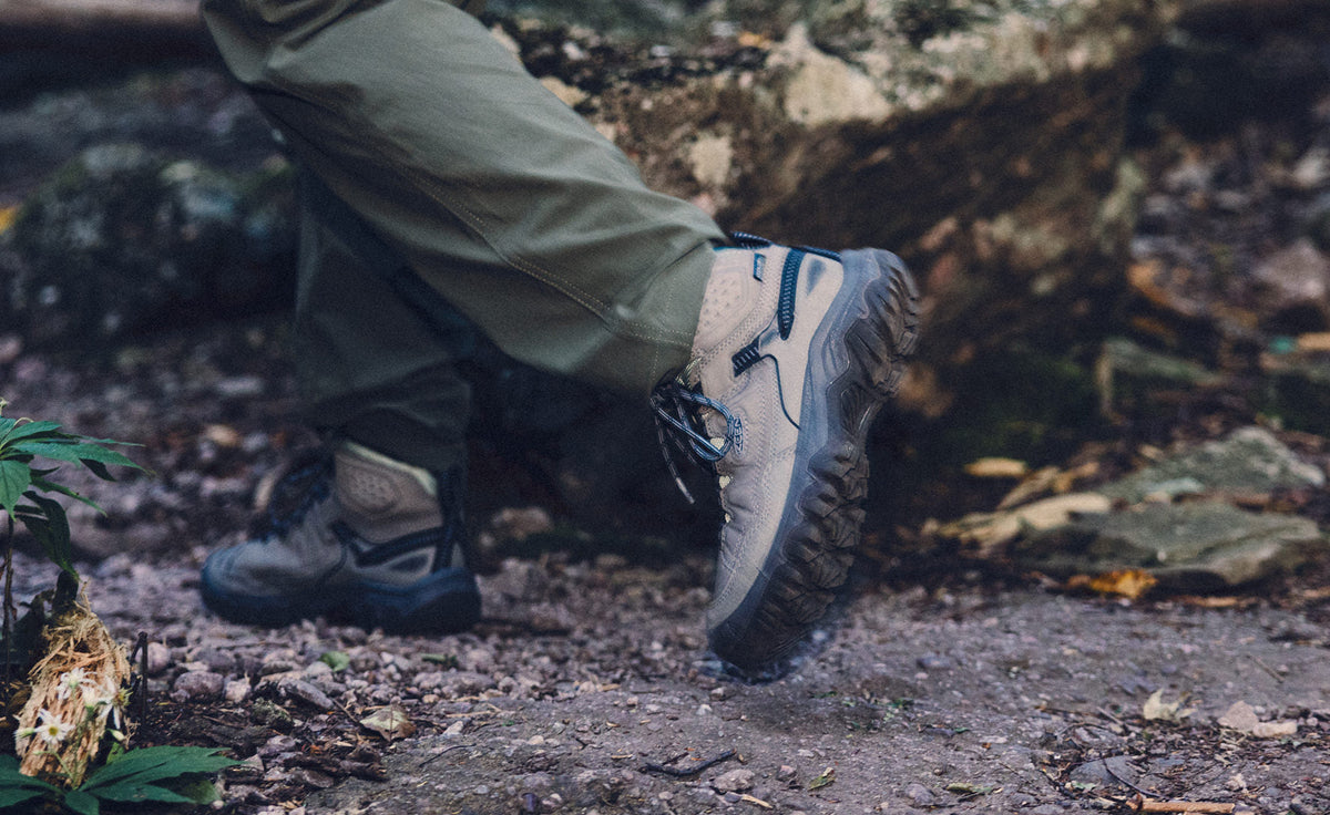 Women's Targhee IV Waterproof Hiking Boot - Steel Grey/Lily Pad
