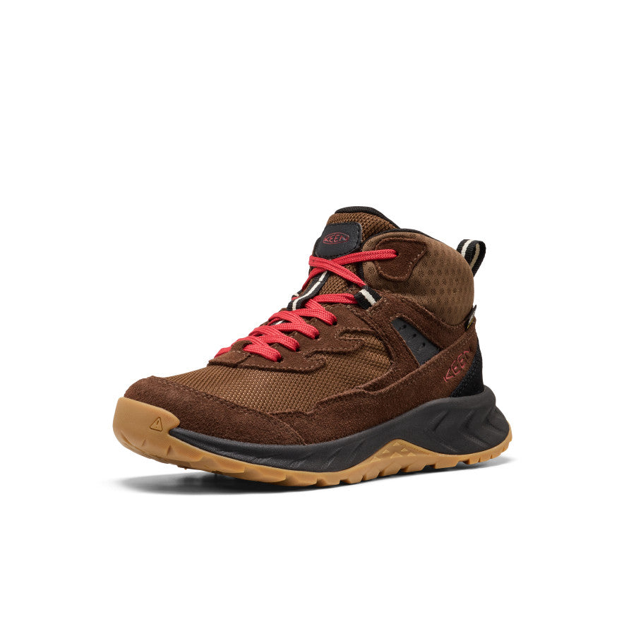 Big Kids' Hightrail Waterproof Hiking Boot - Dark Earth/Garnet
